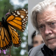The butterfly and the beast.